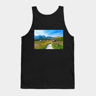 Blue sky over path through Gasienicowa Valley in Tatry mountains, Poland Tank Top